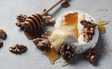 Food. Cheese on the table